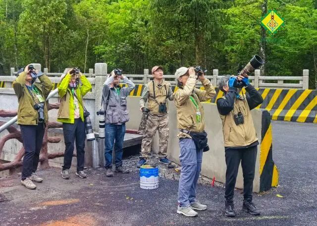 第四届南岭观鸟嘉年华活动。