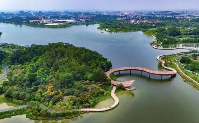 无  通讯员 企石融媒 供图