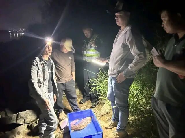 无  通讯员 企石融媒 供图