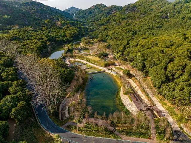 萤灯碧苑节点将打造为萤火虫保护试点区