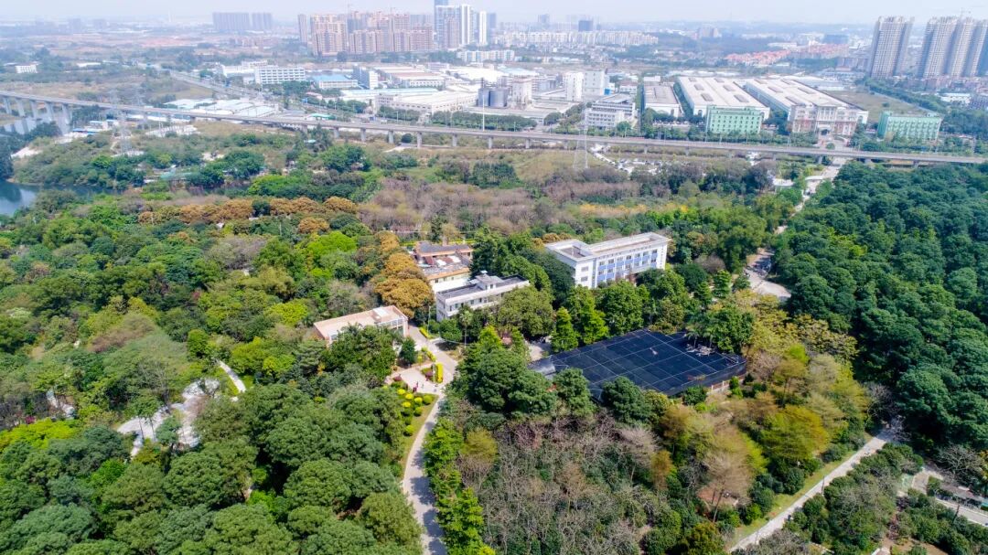 佛山植物园鸟瞰图.jpg