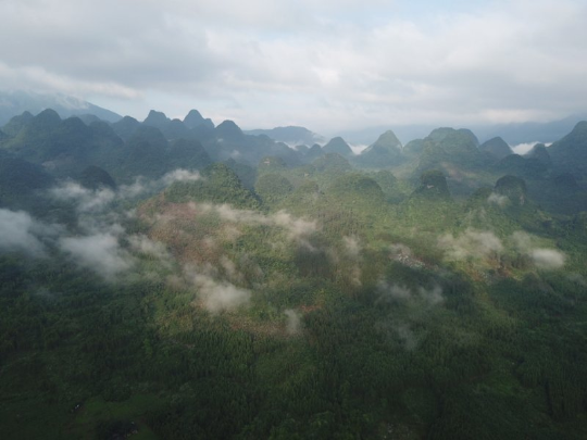 微信图片_20190617101407.jpg