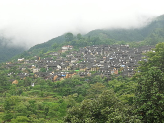 微信图片_20190617101412.jpg