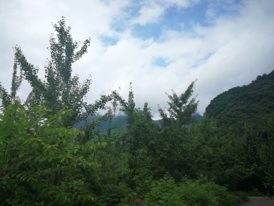 微信图片_20190617101418.jpg