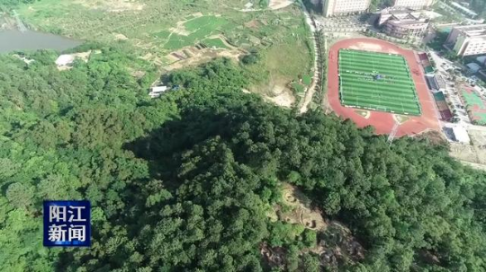 阳东投资5000万元建设竹篙山森林公园