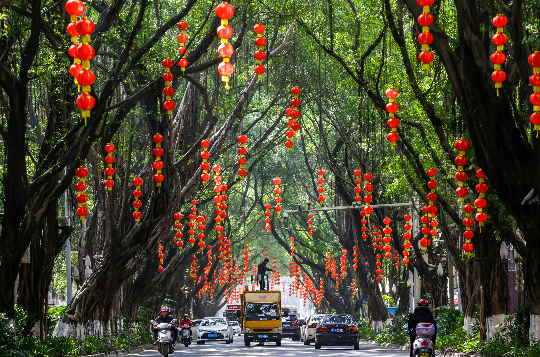 梅州在创森过程中注重道路绿化工作，为城市营造优美的生活环境.jpg