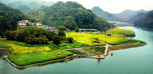 3.航拍石门天池油菜花--邬影红.jpg