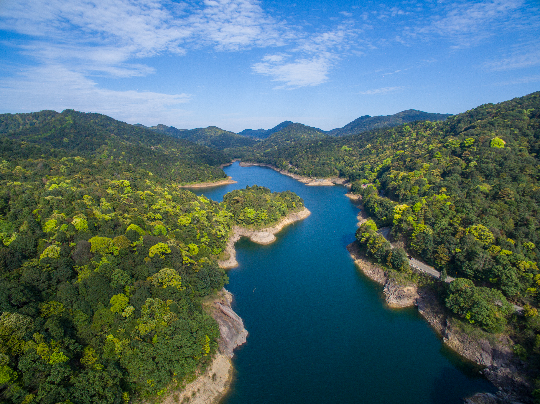 石门森林公园DJI_0013.jpg