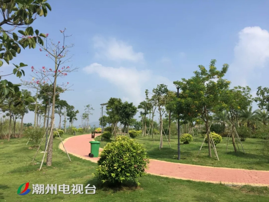 40.潮州：金山大桥湿地公园主岛将对市民开放2