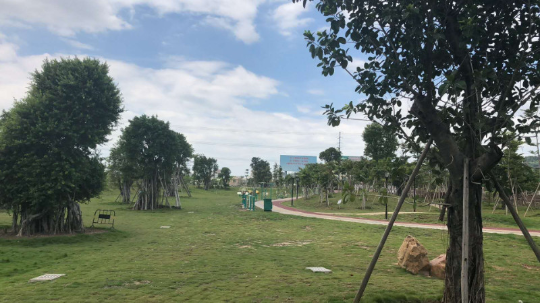 新凤绿地公园