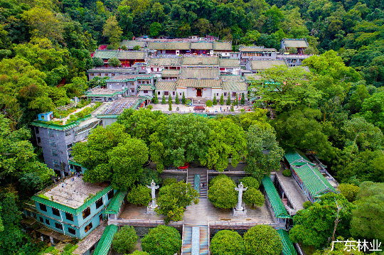 鼎湖山庆云寺_副本.jpg