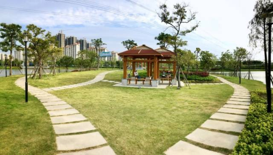 汕头利用废弃土地造绿，在高速公路出入口打造一片“绿洲”。