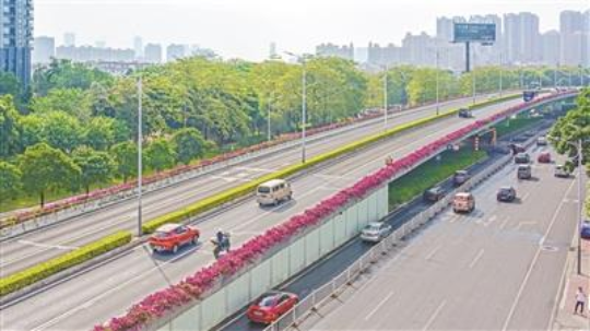 禅城桥梁立体绿化第二批名单公布