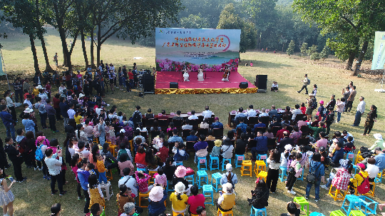 活动开幕式表演.JPG