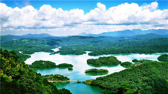 流溪河国家级森林公园.jpg