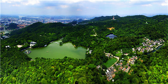 西樵山国家森林公园森林康养基地.jpg