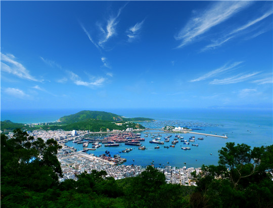 阳江市闸坡森林小镇.jpg