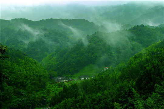 雨后山景.jpg