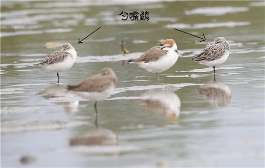 休整（图片拍摄：何韬）.JPG