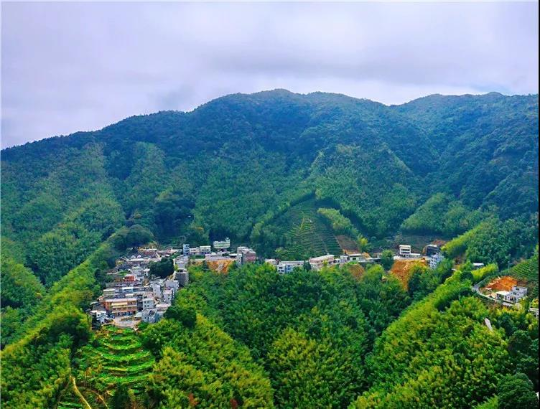 已编辑图片