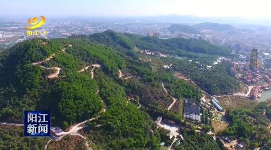 阳江市今年全民义务植树已达406万株