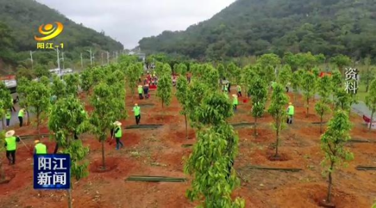 阳江市今年全民义务植树已达406万株