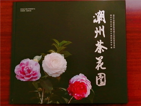 图片1.png