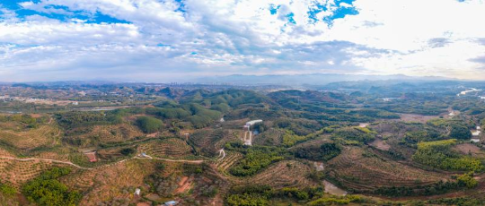 始兴县原本荒芜的山坡地上种满了果树.jpg