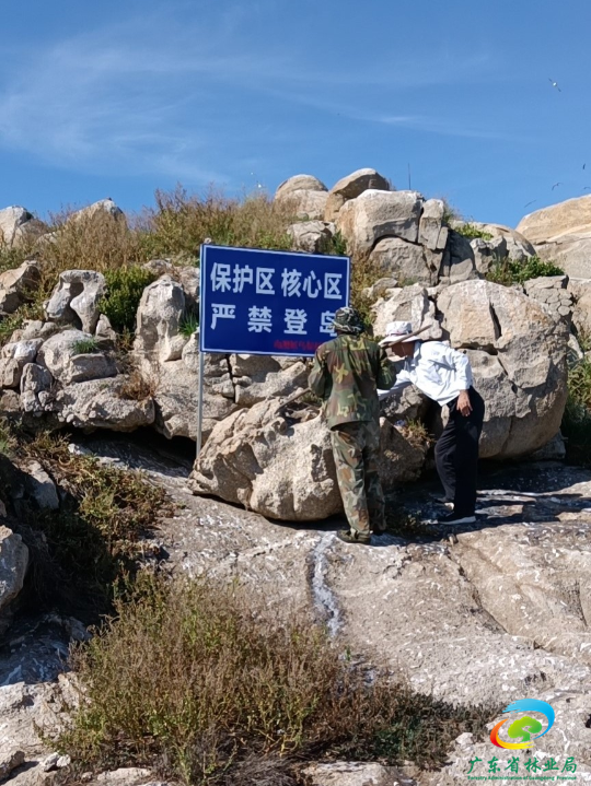 树立警示牌.jpg
