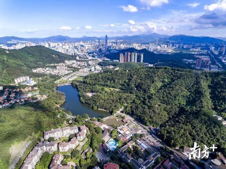 深圳城市美景