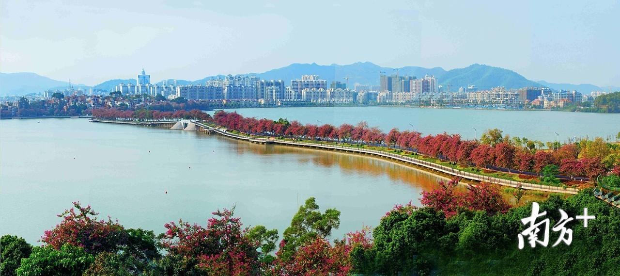 肇庆城市美景