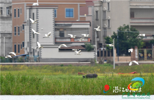1E3933F3-1BA2-47BA-B8DC-6D04A9EFD08D.jpeg