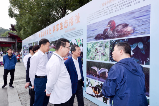 已编辑图片