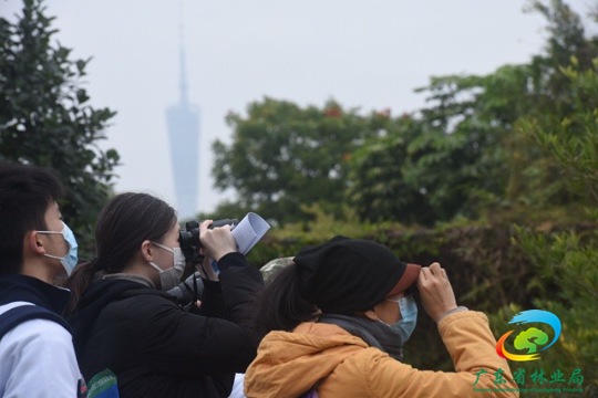 EB99A753-153E-46F1-AF34-935E5880640E.jpeg