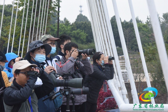 957A472F-EFB9-4FDE-B839-4149714F7BF6.jpeg