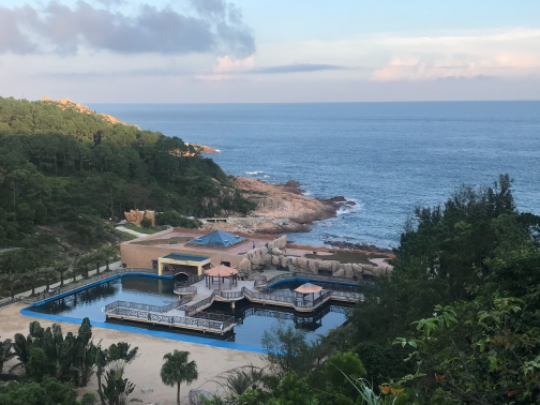 全国唯一的海龟驯养中心.jpg
