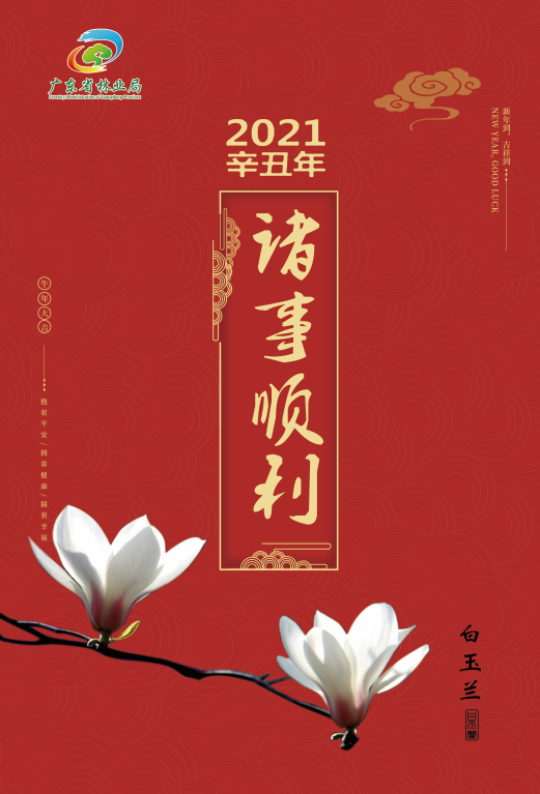 海报53-78cm白玉兰.jpg