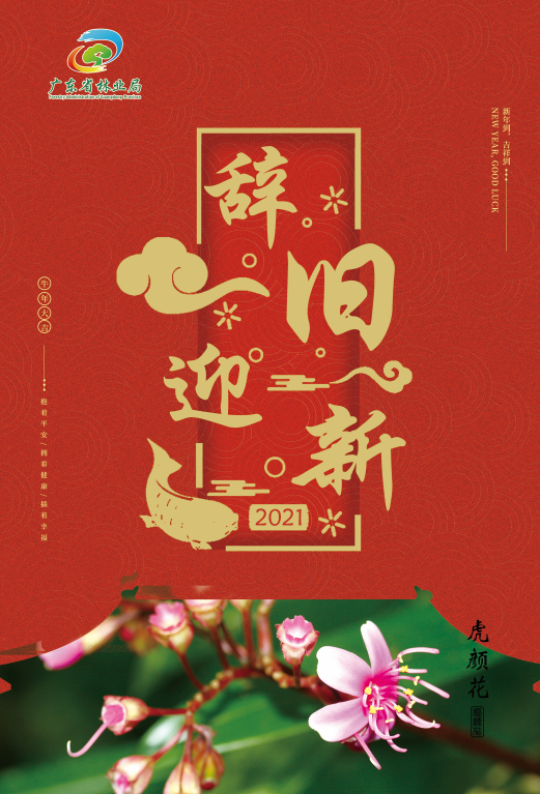 海报53-78cm虎颜花.jpg