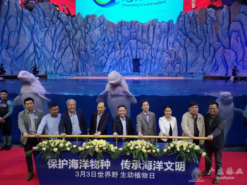 微信图片_20190304173003.jpg