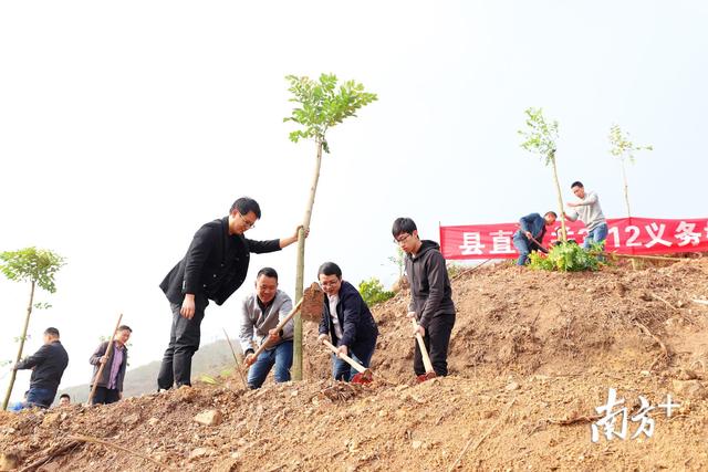 春天绿化大会战|饶平：拟在植树节期间投800万元，植树150多万株