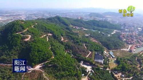 阳江市森林覆盖率达57.72%