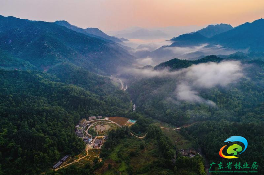 林树城摄，车八岭.jpg