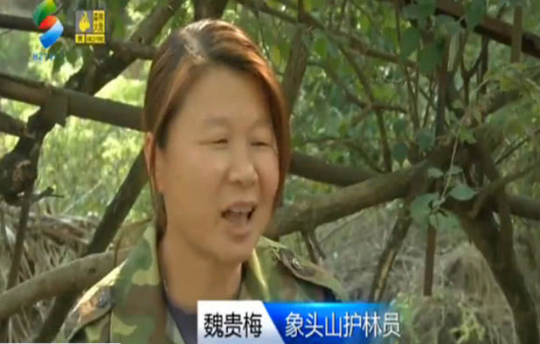 已编辑图片