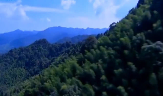已编辑图片