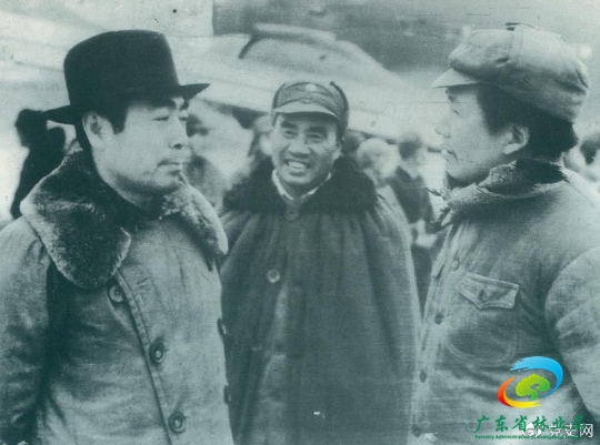 1945年11月11日，毛泽东、朱德赴延安机场迎接从重庆回来的周恩来。