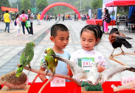 微信图片_20190425200520.jpg