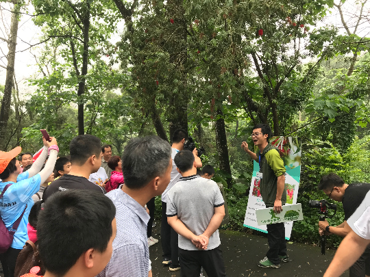 潮州市4.21创森徒步宣传活动，途中进行植物科普活动.JPG