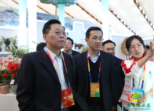 已编辑图片