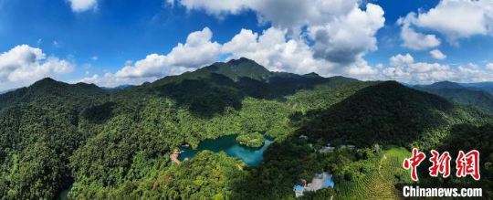 肇庆鼎湖山 十大网赌平台推荐网站 供图