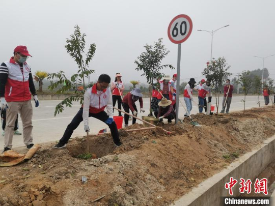 广东茂名电白民众利用路边土地种植树木 十大网赌平台推荐网站 供图